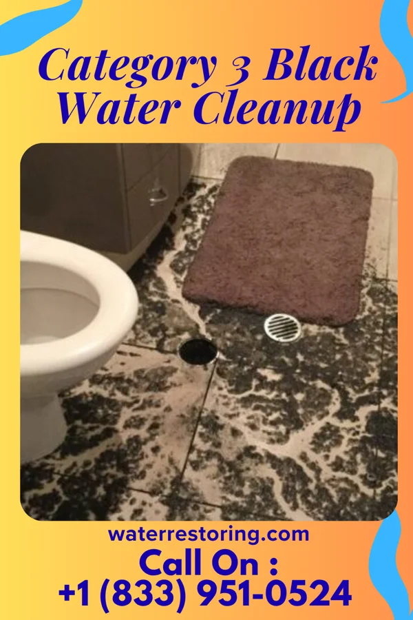 Category 3 Black Water Cleanup in Golden's Bridge, NY