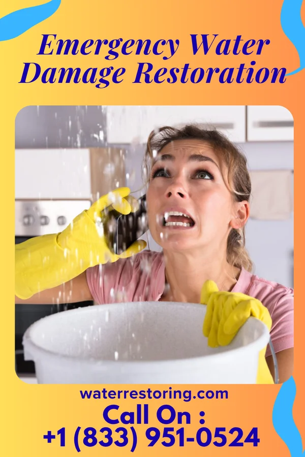 Emergency Water Damage Restoration in Golden's Bridge, NY