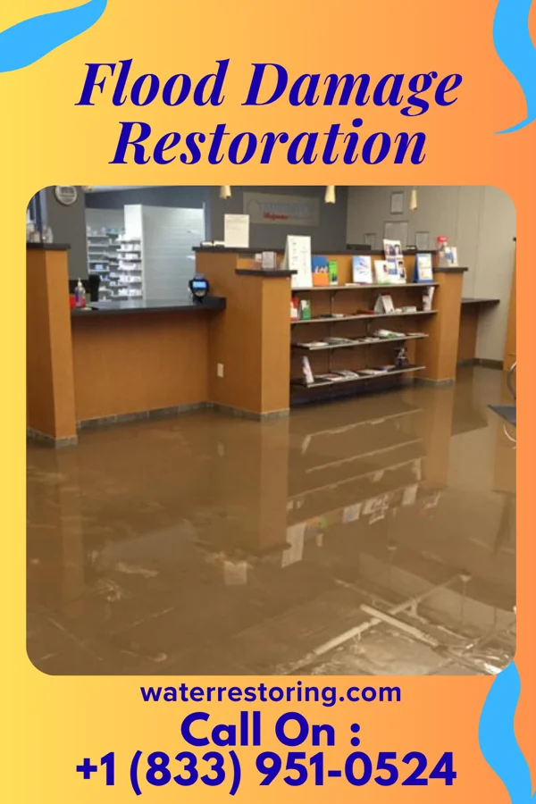Flood Damage Restoration in Golden's Bridge, NY