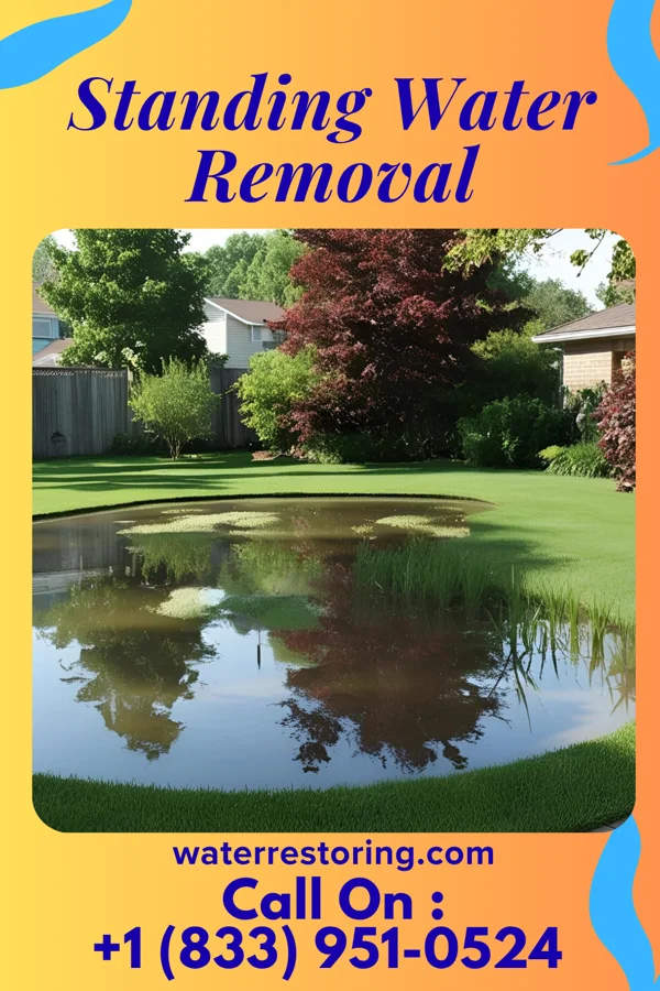 Standing Water Removal in Golden's Bridge, NY